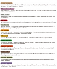 A 12-scent fragrance set of essential oils for home and office use.